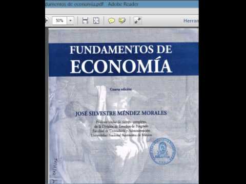 libro de economia pdf
